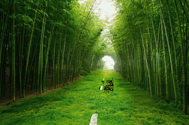 壁纸 风景 植物 桌面 640_422 gif 动态图 动图