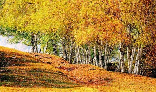 媲美九寨沟!秒杀喀纳斯!这儿才是中国的小瑞士