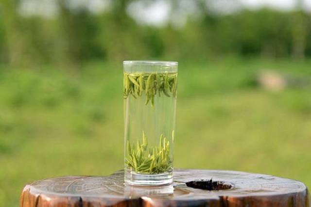 盖碗和玻璃杯,哪个泡绿茶更好?