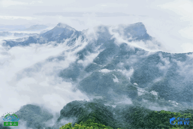 今天,和云台山在青山绿水中谈情说爱