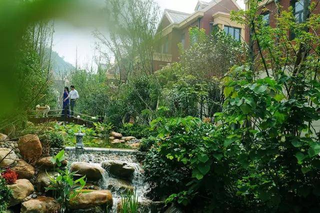 康晖森林溪谷实景图▲康晖森林溪谷实景图