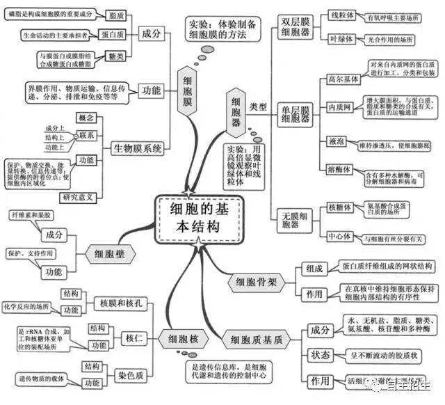 组成细胞的分子