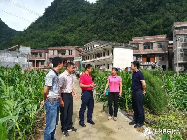 【乐村淘·大脚印】隆安县乐村淘陇割村结对帮扶实地调研