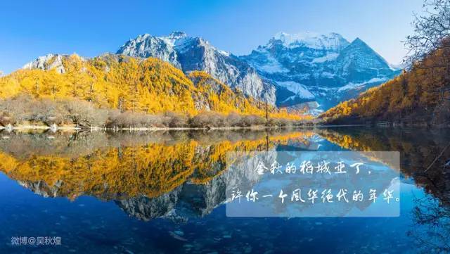 稻城亚丁承包了世间最美的秋色!_手机搜狐网