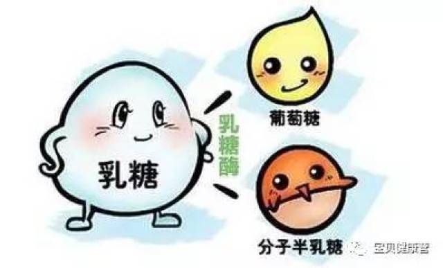 宝宝腹泻,腹痛,呕吐, 教你区分乳糖不耐受还是牛奶过敏