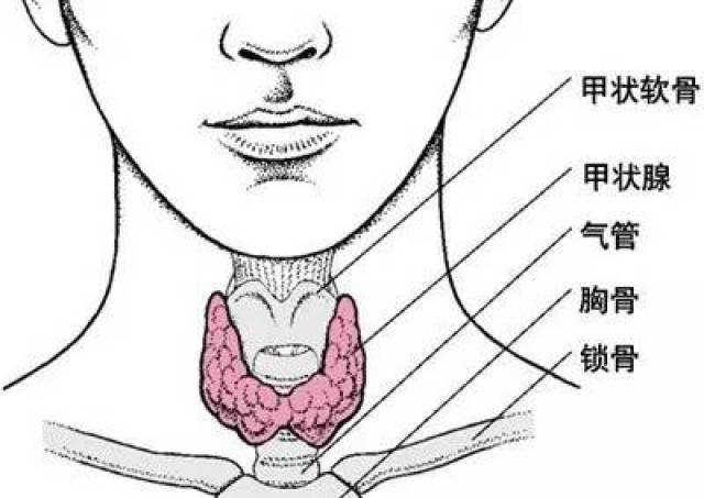 27岁白领患甲状腺癌后痛诉:真心奉劝各位,身体是自己的!