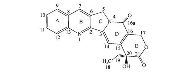 结构及各原子编号见下图2),可得到拓扑替康(topotecan),伊立替康