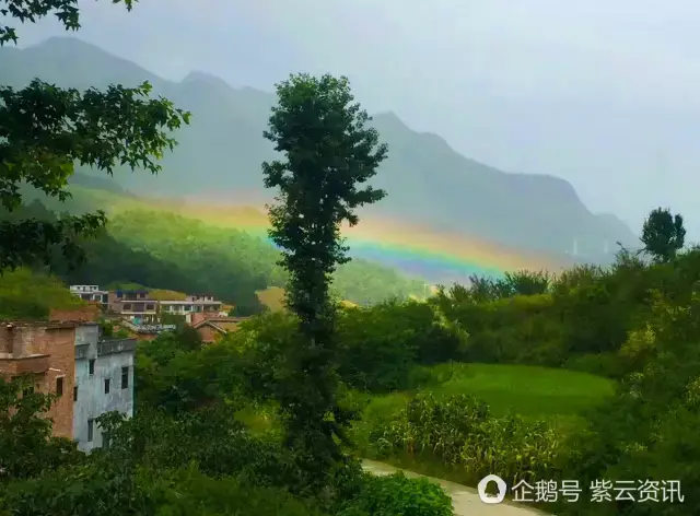 美图|紫云雨后现彩虹美景,朋友圈又被刷屏!