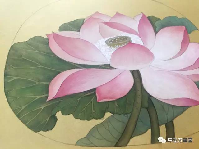 经典宋人小品 | 工笔 出水芙蓉图>步骤解析