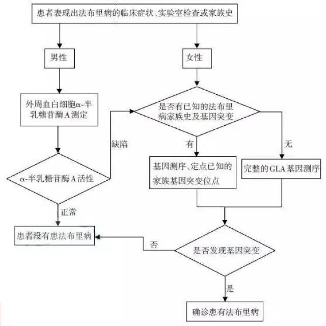 法布里病的临床表现和诊断流程图