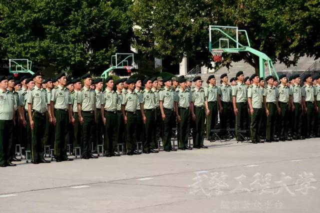 军校微媒矩阵 | 武警工程大学新学员和班长的悄悄话