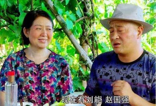 "惹事"也没事儿《乡村爱情10》赵四没换人你还想看吗?