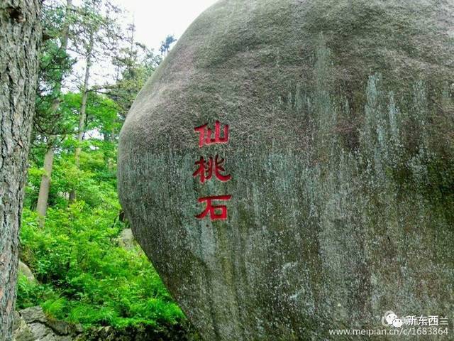 下山最后一道大餐――仙桃石.看!