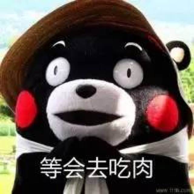 1b1134034c2a401d8e4b37634e9043b2.jpeg