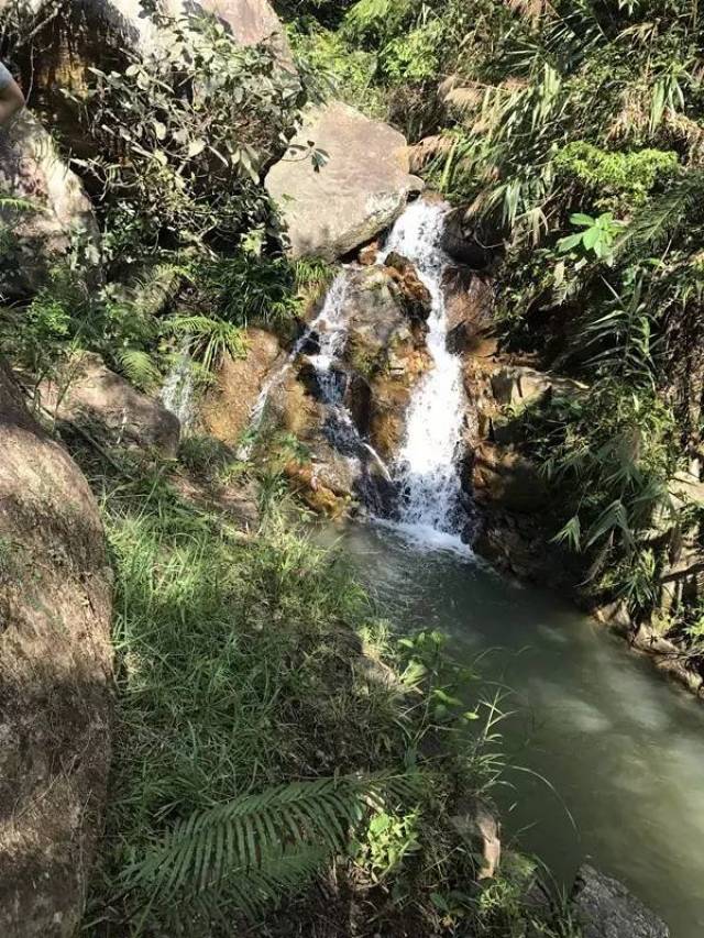 玉湖好去处@玉湖山生态茶园旅游区