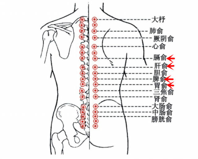 2.胃俞穴