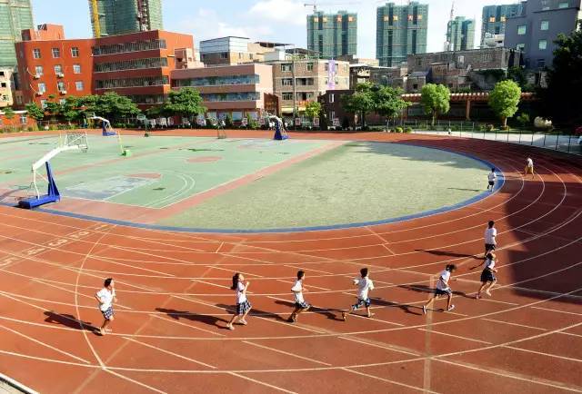 预备项目还有第七实验小学崇法校区,崇文校区,崇德校区和第七实验幼儿