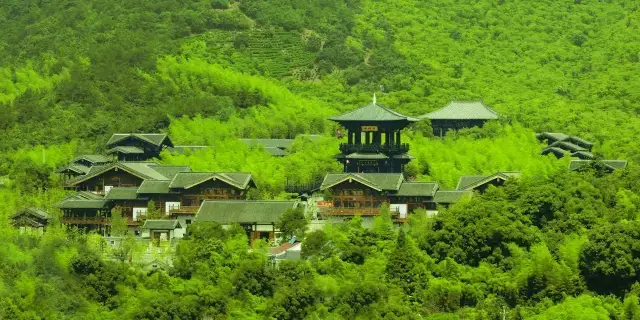 大唐贡茶院