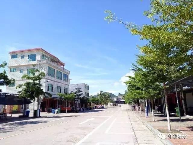 【陵水印象】醉美光坡镇