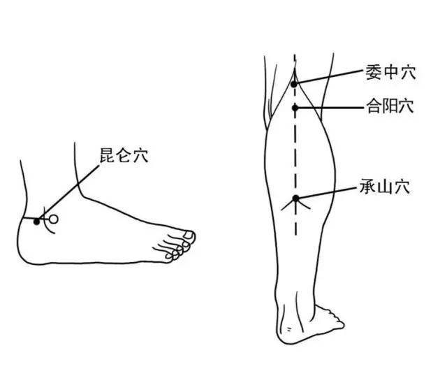 足太阳膀胱经