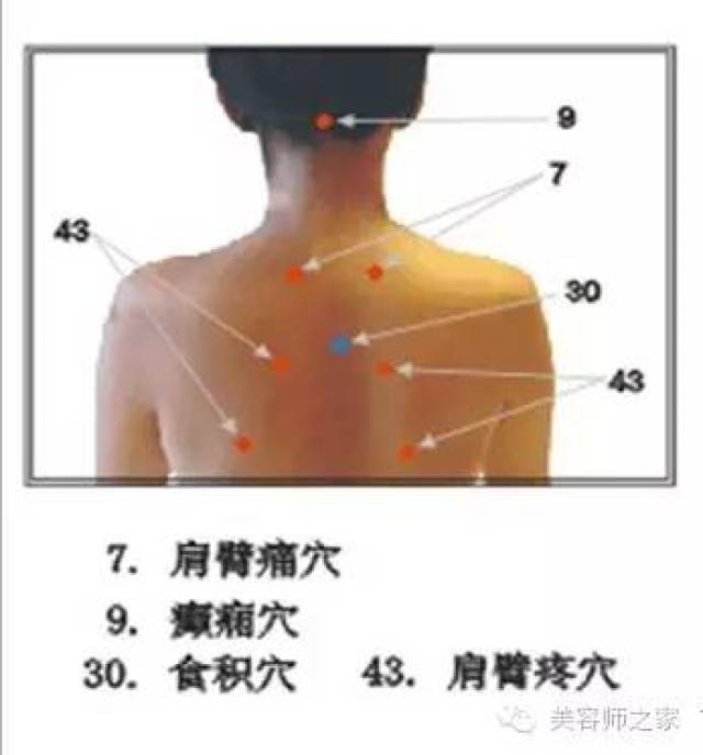 干货| 中医刺络放血疗法