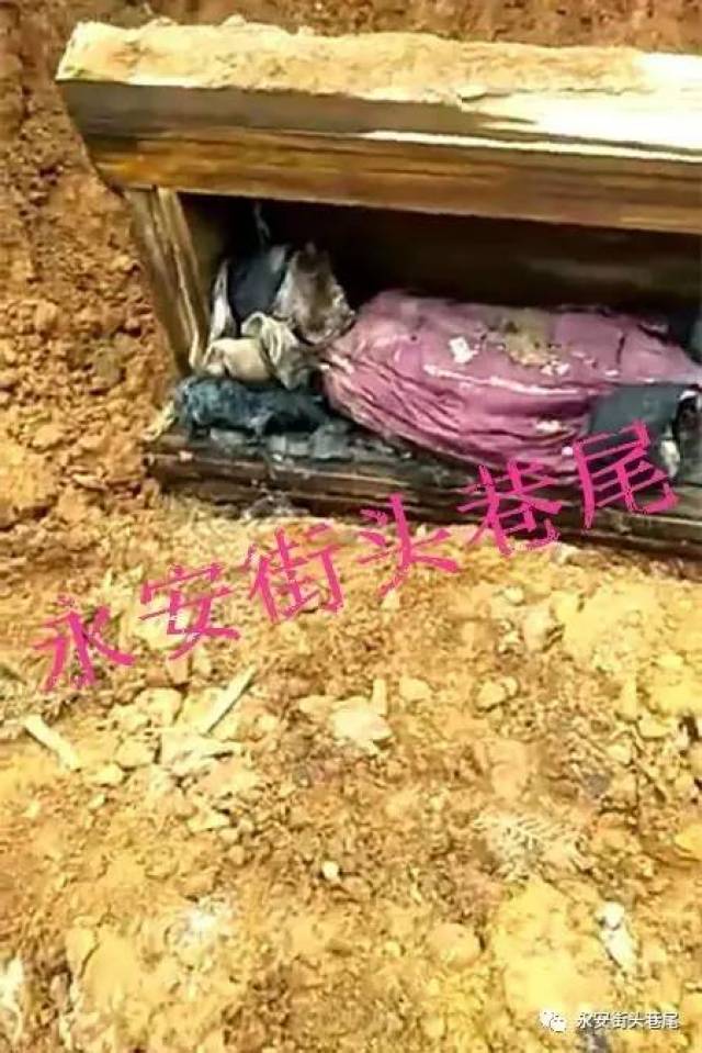 【求证】永安某地发现古墓?棺椁主人面容栩栩如生,所有都保存完好!