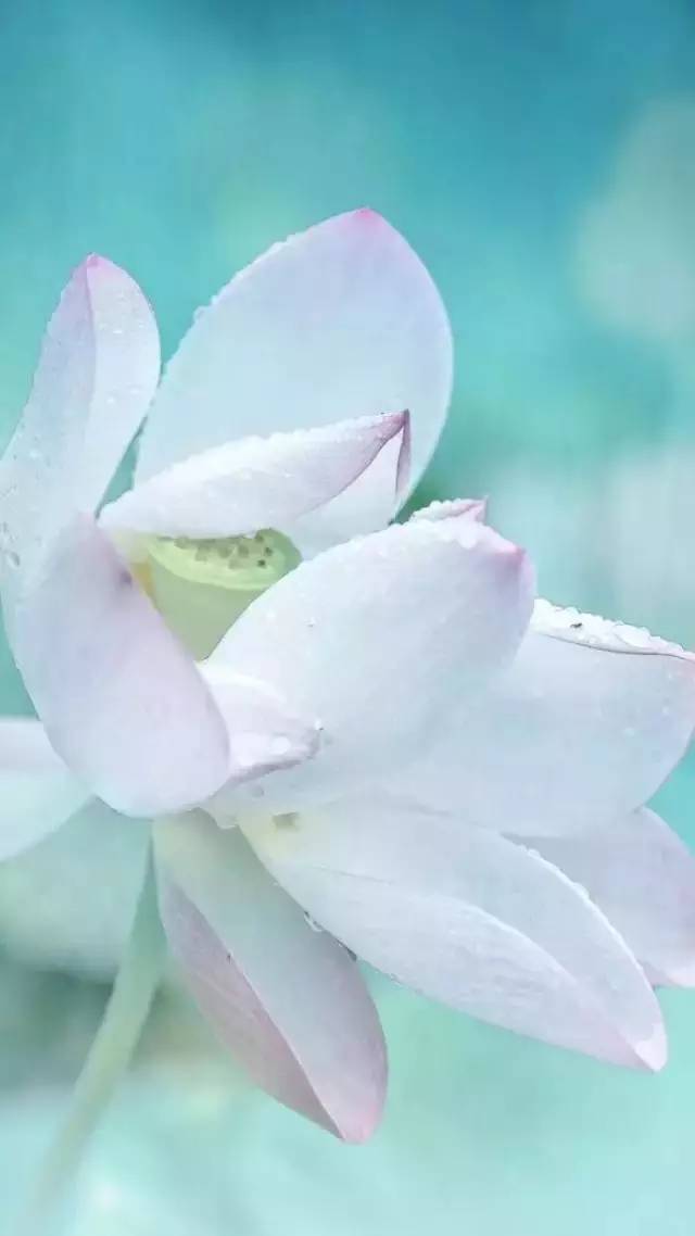 过顺其自然的生活 做随遇而安的自己