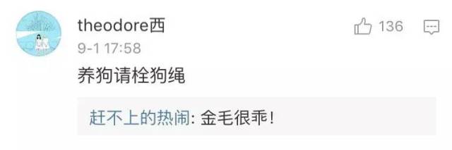 成都女主持自曝遛狗未拴牵引绳遭暴打，网友吵翻了！