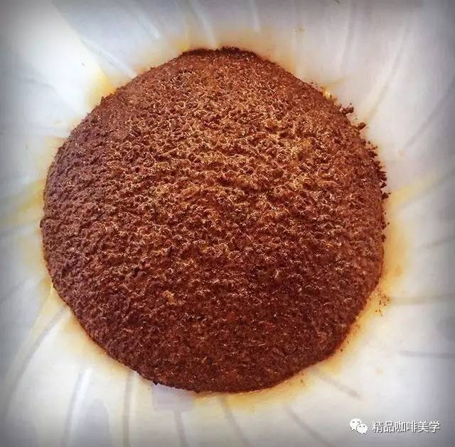 咖啡烘焙 | 什么是Rate of Rise(RoR)