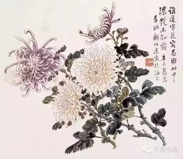 【欣赏】秋菊佳色!历代名家画菊