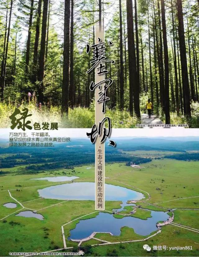 【穿云箭|海报】塞罕坝精神——让绿色成为美丽中国最