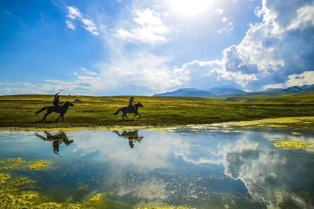 去稻城亚丁最佳的交通方式什么?租车包车贵不