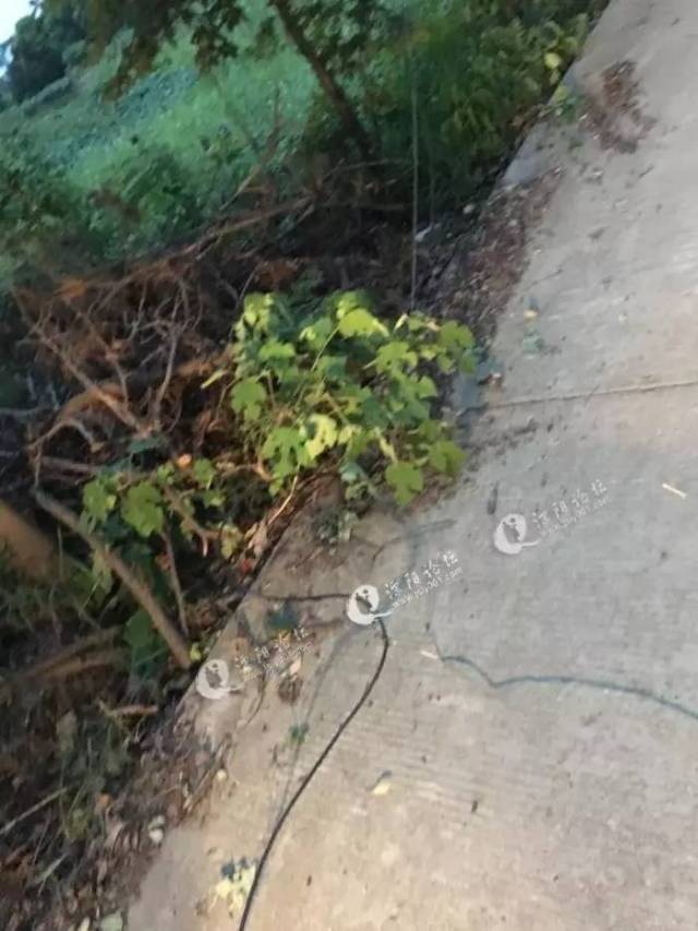 溧阳241团结路路口处发生惨烈车祸,一女子被压爆头