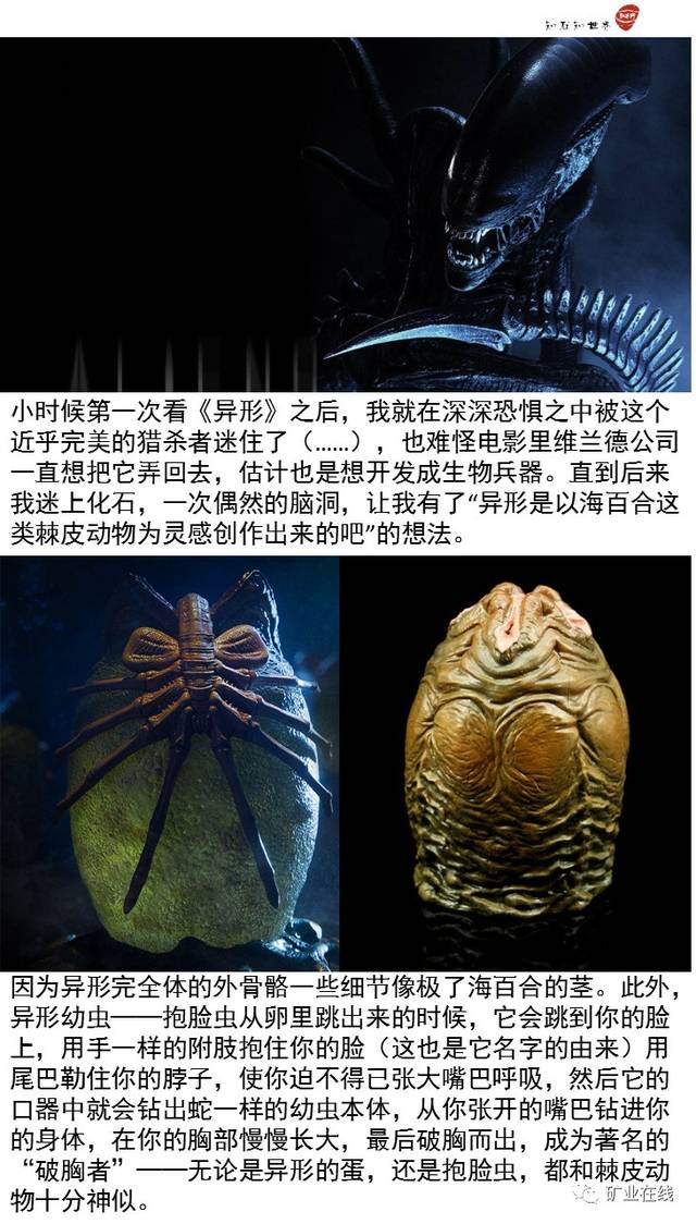 《异形:契约》里没说的事儿:地球上的远古化石,竟是异形的祖先?