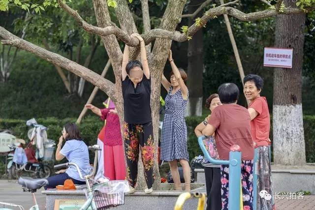 8月21日,雉城街道古城公园,一名大妈双手吊在树上进行健身.