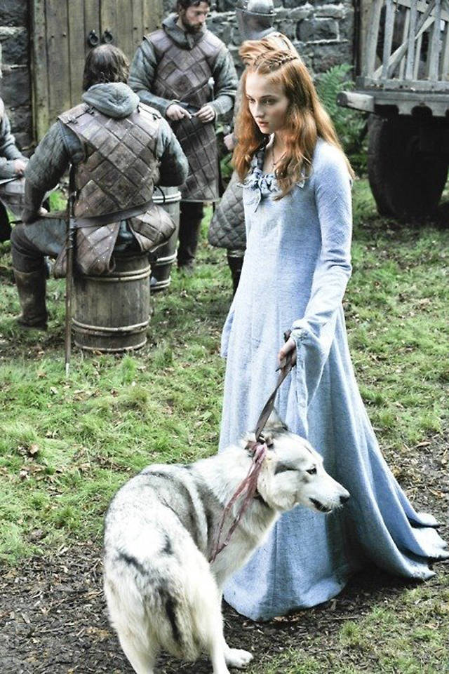 sansa stark"三傻 珊莎·史塔克 大家闺秀的逆袭