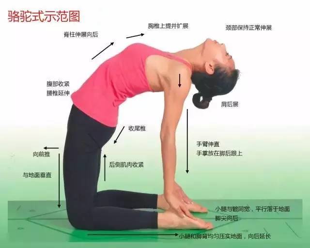 健身瑜伽108式体位标准图