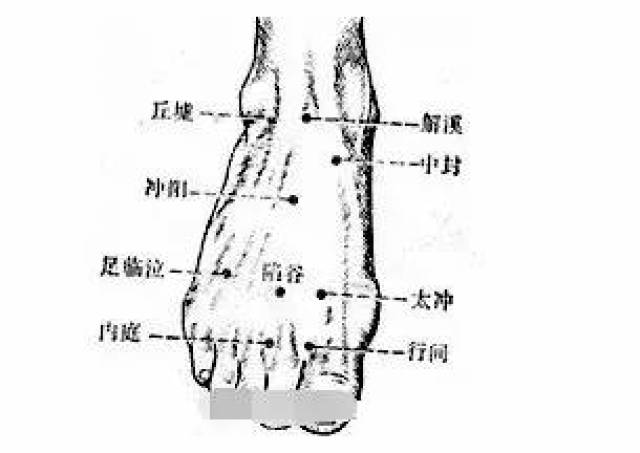 常用针灸穴位定位及主治详解,学中医必看经典!