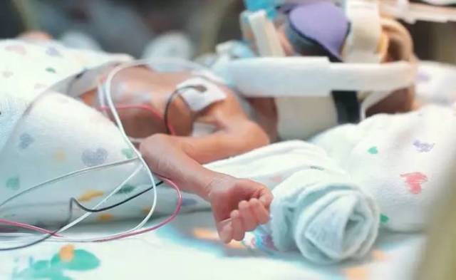 八个月婴儿体重40斤 c00add2b17494c46b8f83c5c677075ce.jpeg