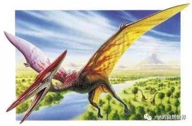 【恐龙探索】装甲先锋——甲龙!