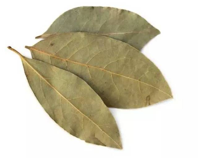 月桂叶 bay leaves