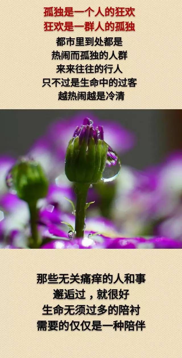 懂得珍惜的人得到幸福,懂得忘记的人得到轻松.