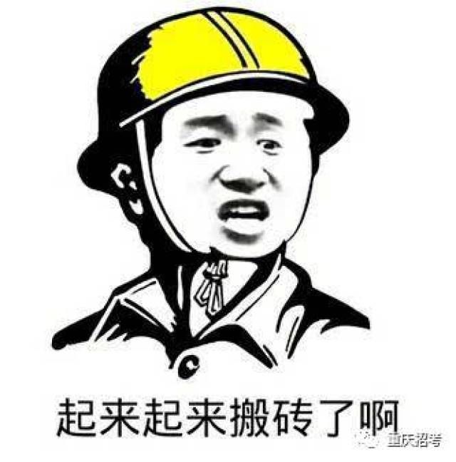 建筑学   我不搬砖!