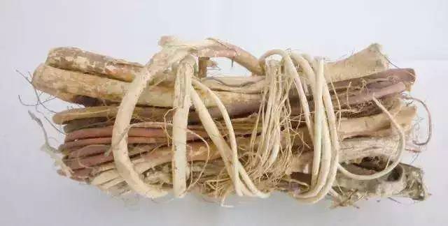 断肠草其根部外观与煲汤药材五指毛桃