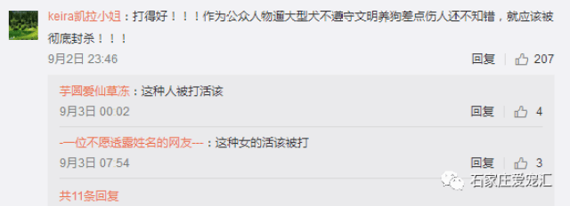 女主播遛狗不牵绳遭到暴打至毁容,谁之过?