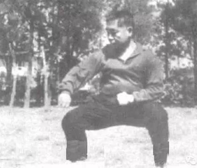 陈照奎先生这样回答: "世界上有不用力的武术吗?