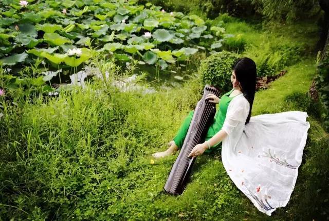 琴美人︱琴筝和鸣,一路同行--寻雅