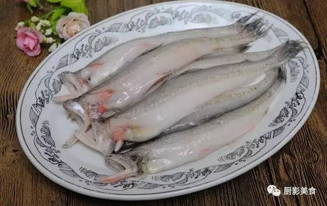 龙头鱼,别称忒鱼(潮汕话),水潺(闽南语),狗母鱼,虾潺,龙头鲓,是中国