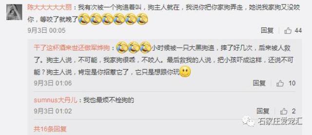 女主播遛狗不牵绳遭到暴打至毁容,谁之过?