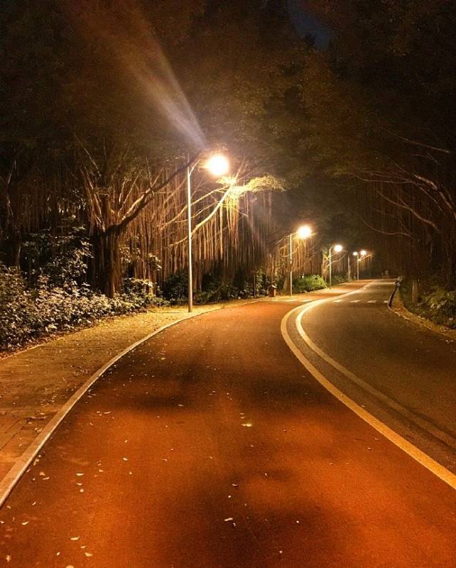 9月3日荧光夜跑,点亮青秀山的夜晚!